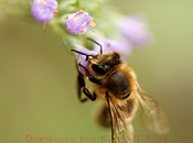 ip攻击器网页版